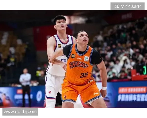 成都与重庆乒乓球队对决赛后分析节奏与战术的深度剖析